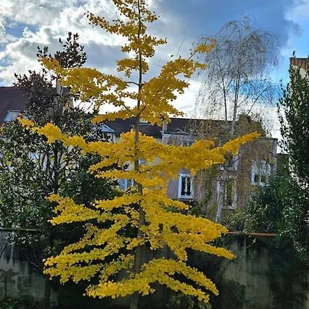 Esprit Loft Centre Rueil-Malmaison