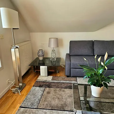 Grand Loft 2 Pièces Calme Vue Sur Les Toits * Rueil-Malmaison
