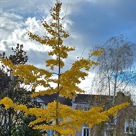 Apartment Esprit Loft Centre